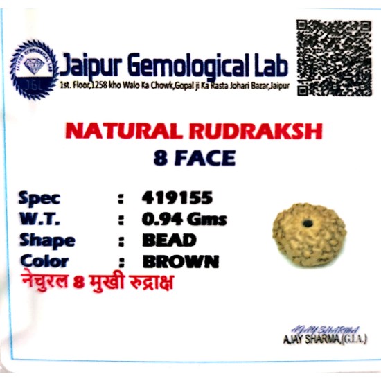 8 Mukhi Indonesia Rudraksha – Original & Certified Ashtmukhi Bead 8 Mukhi Indonesia Rudraksha – Original & Certified Ashtmukhi Bead